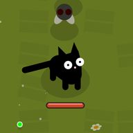 Cat Survivors